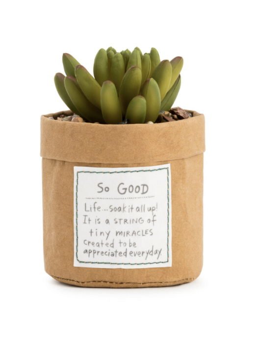 Plant Kindness - So Good Plant Kindness - So Good