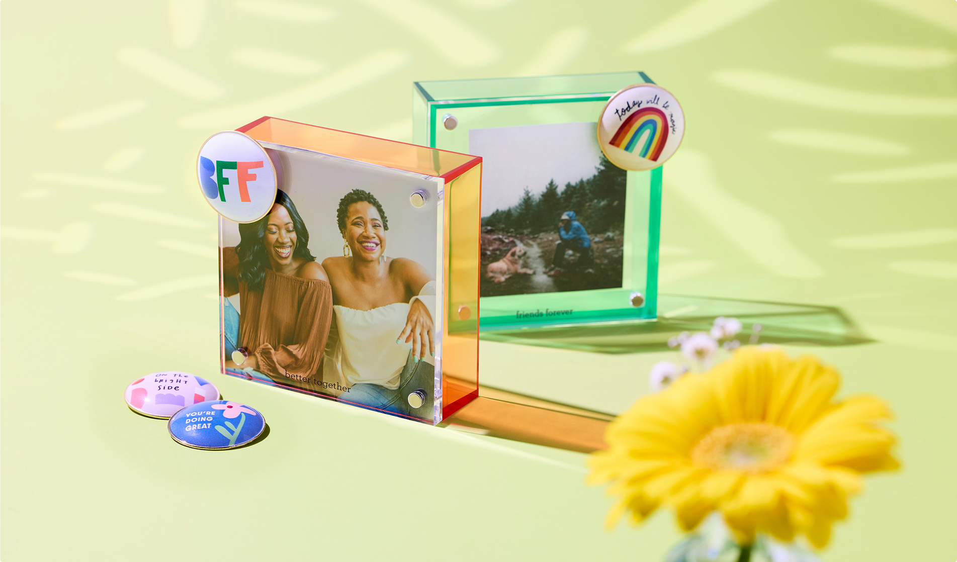 BFF product assortment lifestyle