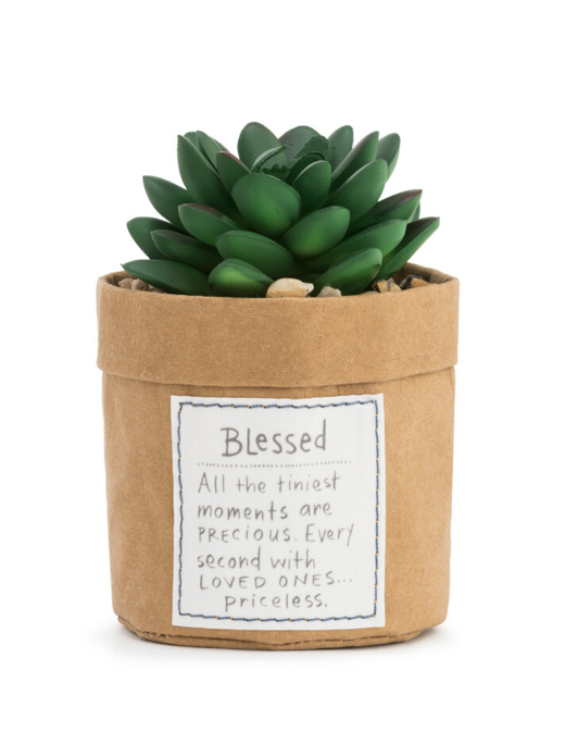 Plant Kindness - Blessed
